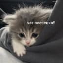 Группа Чат Плесецка в Telegram