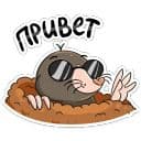 Стикеры Рой в Telegram