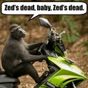 Стикеры Лесная Школа в Telegram