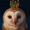 СОВА на ФРИЛАНСЕ