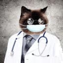 Канал Medical photo album Медицина для профи врачи медики в Telegram