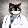 Telegram-канал Medical photo album Медицина для профи врачи медики