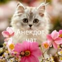 Группа Анекдот в Telegram