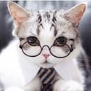 Канал Котики в очках 🕶 в Telegram