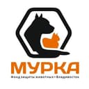 Канал Фонд Мурка в Telegram