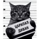 Стикеры Кот Рецидивист в Telegram