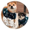 Стикеры 🐶 Пёськи тьмок в Telegram