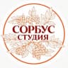 Telegram-канал Букеты, подарки, декор в Перми