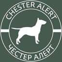 Канал Chester Alert в Telegram