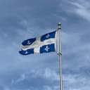 Канал Непричёсанный Квебек, uncombed Quebec Canada в Telegram