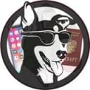Канал Потеряшки_Уссурийск в Telegram