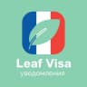 Telegram-канал Бот для записи в визовый центр Франции | Уведомления Leaf Visa | VFS | ВЦ | Франция через бота