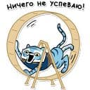 Стикеры Тигр в Telegram