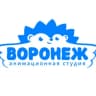 Telegram-канал ВОРОНЕЖ. Анимационная студия