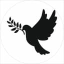 Группа 𝘾𝙮𝙥𝙧𝙪𝙨 𝙋𝙖𝙧𝙖𝙙𝙞𝙨𝙚🕊ЧАТ КИПР в Telegram