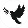 Telegram-группа 𝘾𝙮𝙥𝙧𝙪𝙨 𝙋𝙖𝙧𝙖𝙙𝙞𝙨𝙚🕊ЧАТ КИПР