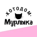 Канал Котодом МУРЛЫКА в Telegram