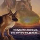 Канал Цитатник ПсковГУ в Telegram
