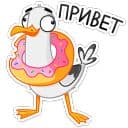 Стикеры Чайка Сэм в Telegram