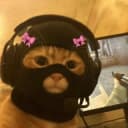 Канал Круглый круг в Telegram