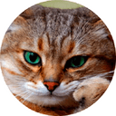Стикеры CatsBySmol в Telegram