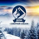 Канал Дом Северной Собаки в Telegram