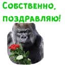 Стикеры Женский день в Telegram