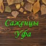 Telegram-канал Саженцы | Цветы | Уфа