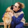 Telegram-канал ANIMAL CARE: помощь бездомным животным 🐶🐱