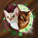 Канал Алисон и Панакотий в Telegram