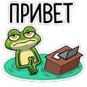 Стикеры Лягуш в Telegram