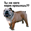 Стикеры Zhora Only Nuce Sticker Pack 0.1 в Telegram