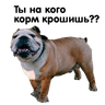 Стикерпак Zhora Only Nuce Sticker Pack 0.1