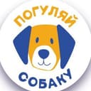 Канал Погуляй собаку в Telegram