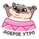 Стикеры Котик Плюш в Telegram