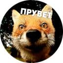 Стикеры Мемные лисухи в Telegram