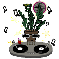 Стикеры Zamioculca в Telegram