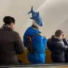Telegram-канал Колыбель эволюции | Тараканы города Питера Z
