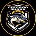 Канал Chicago Shark в Telegram