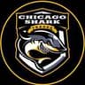 Chicago Shark