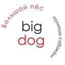 Канал Bigdog_ekb помощь собакам🏡🐕💚 в Telegram