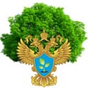 Канал ☣️Экологическая безопасность Невского края в Telegram