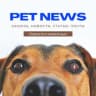 Telegram-канал Pet News
