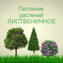 Канал Pitomnik LISTVENICHNOE в Telegram