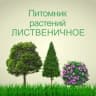 Telegram-канал Pitomnik LISTVENICHNOE