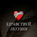 Канал здравствуй, поэзия в Telegram