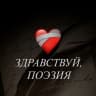 Telegram-канал здравствуй, поэзия