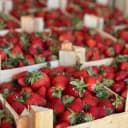 Канал Свежая клубника 🍓,клубника в шоколаде Открыт предзаказ на 14 и 23 февраля в Telegram