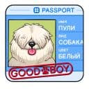 Стикеры Пули в Telegram