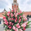 Канал Москва и москвичи в Telegram
